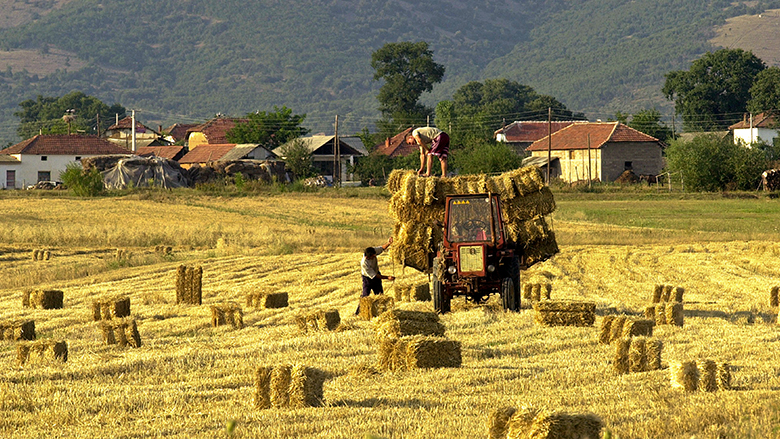 International Conference on Eurasian Food Security and Nutrition Network and Eurasian Soil Partnership