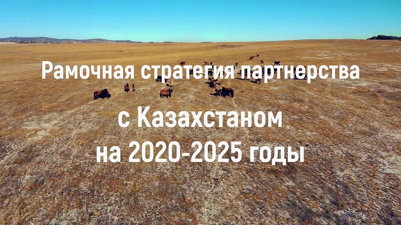 Рамочная стратегия партнерства с Казахстаном на 2020-2025 гг.