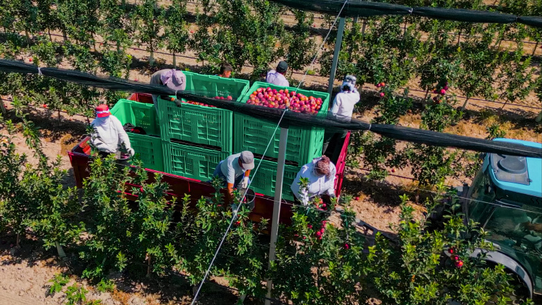 Из песков в сады: восстановление деградированных земель Казахстана